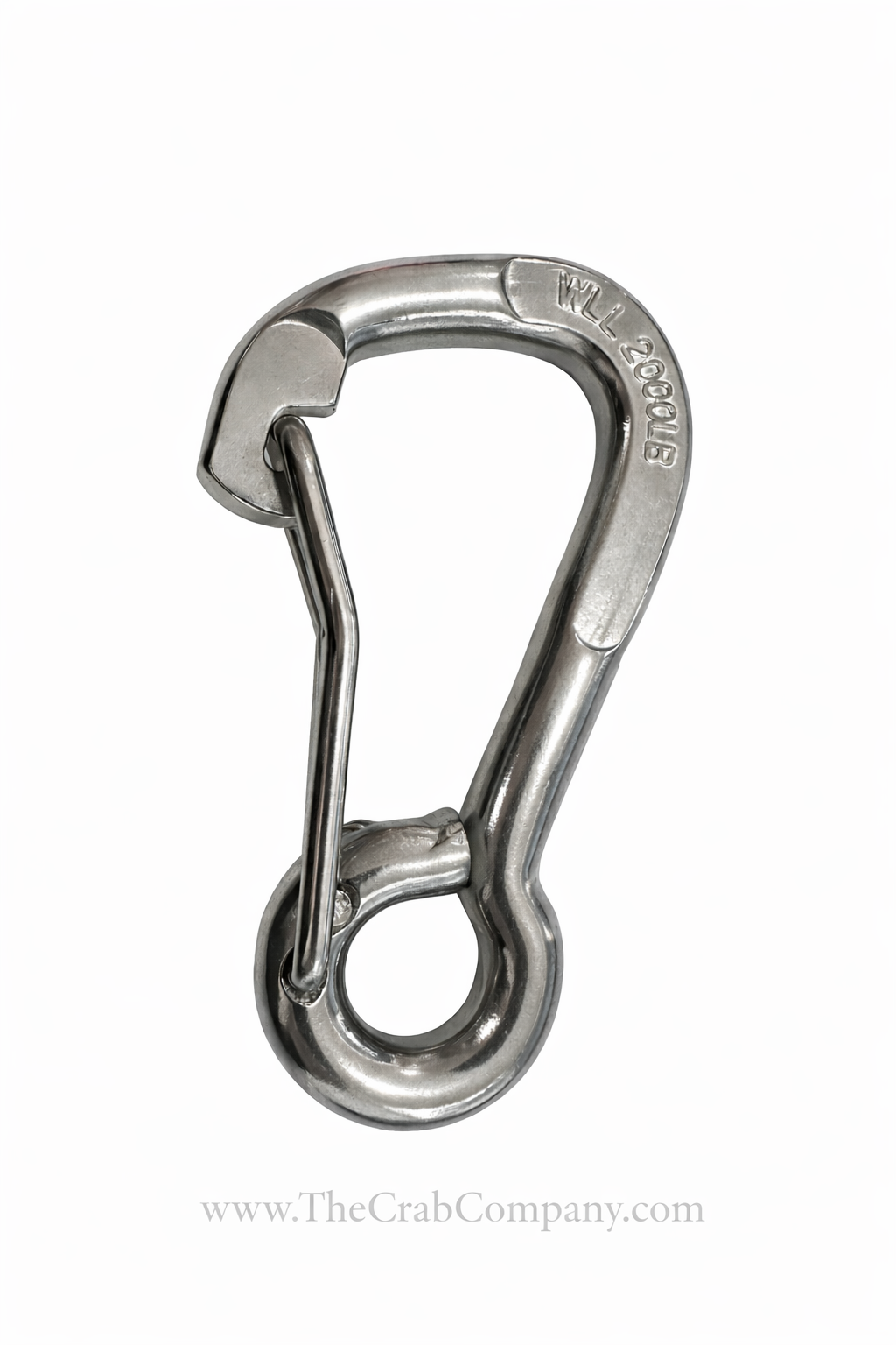 Stainless Steel Spring Snap Hook